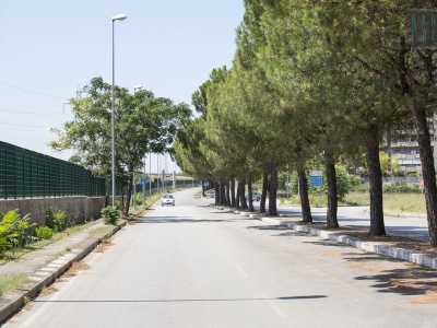 Quest�ultima strada � proprio quella che costeggia il �parco�...
